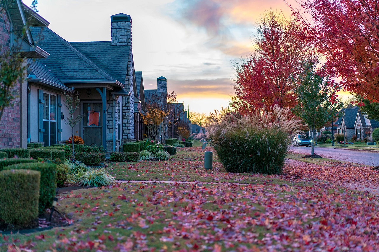 Adobe Stock image of a neighborhood street with leaves fall and red trees.
