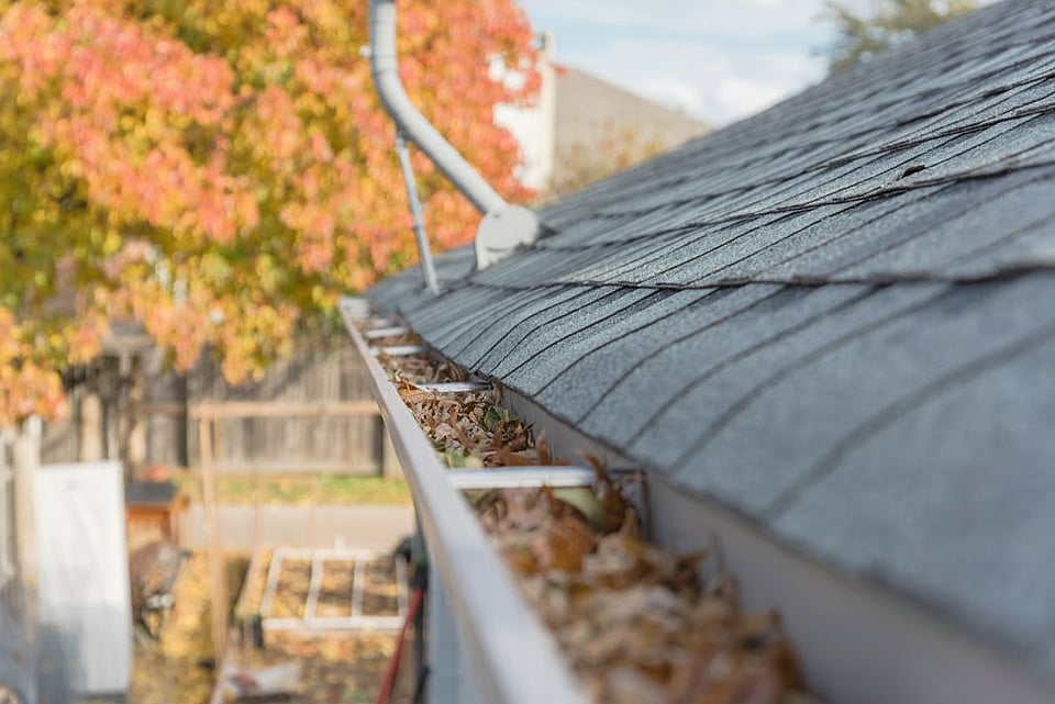 Adobe Stock image of clogged gutters.