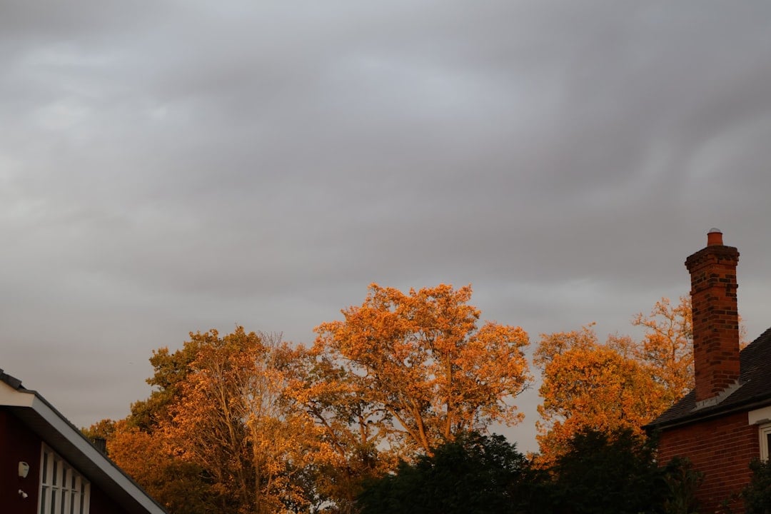 Alpine Chimney Sweeps team — professional chimney services on Long Island and Westchester, NY