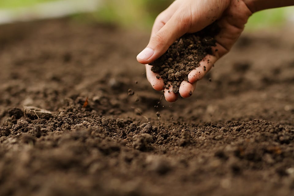 Adobe Stock image of a hand grasping some soil.