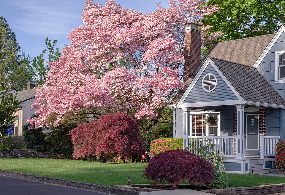 Adobe Stock image of blue house by trees and bushes.