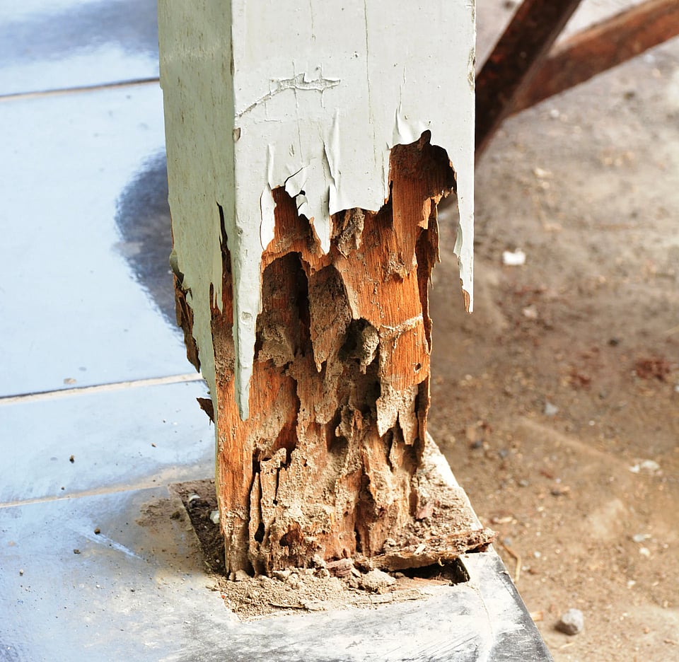 Adobe Stock image of termite damage on a porch column.