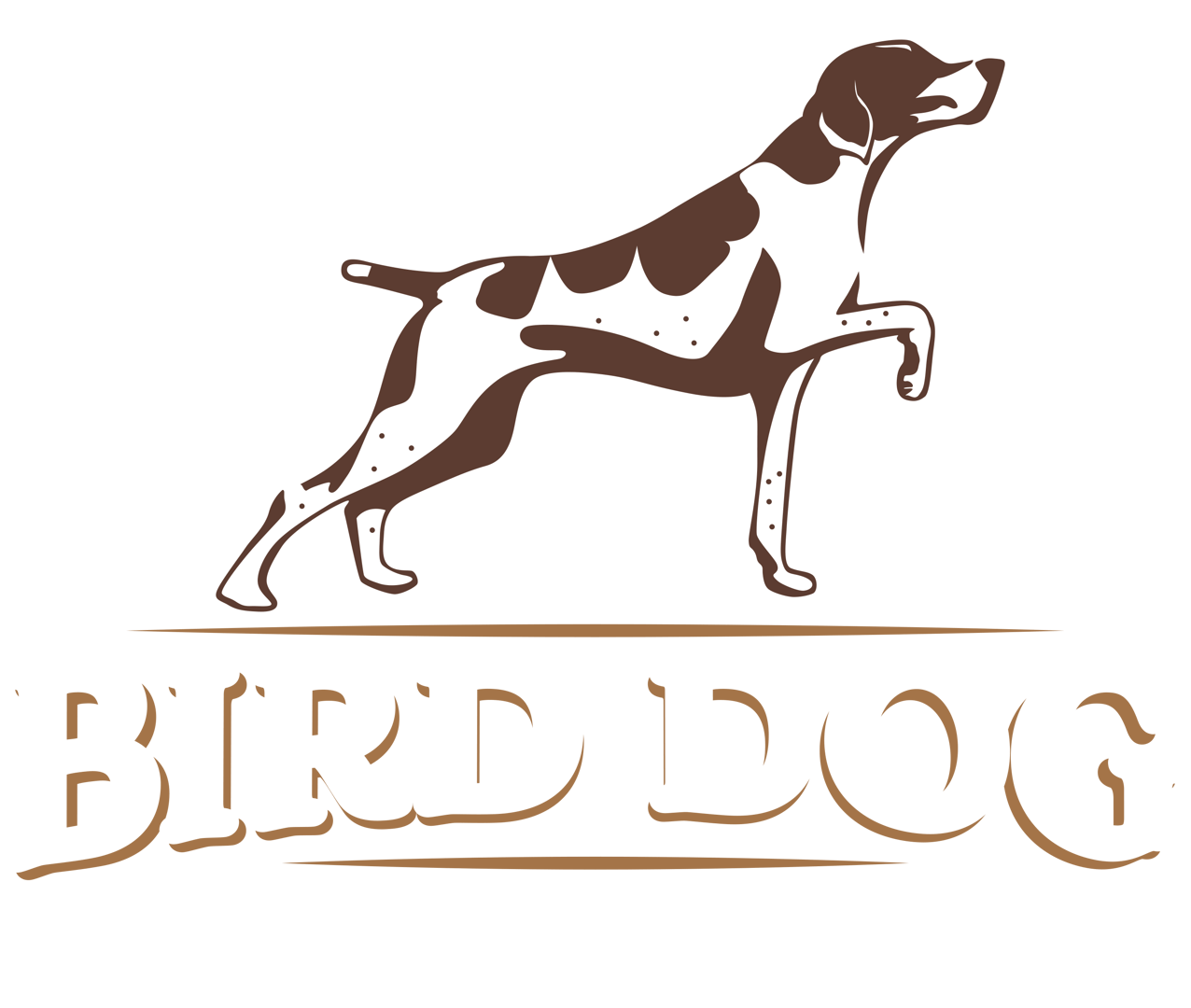Bird Dog Specialty Contracting footer logo