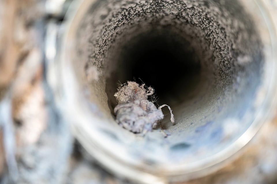 Adobe stock image of a dryer vent with a ball of lint in it.