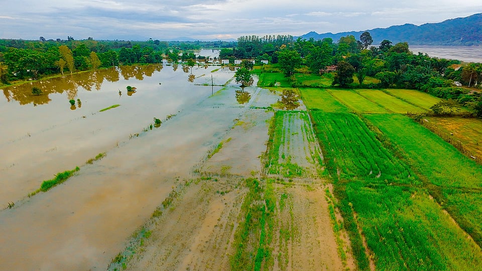 Image of fields that are flooded with water.