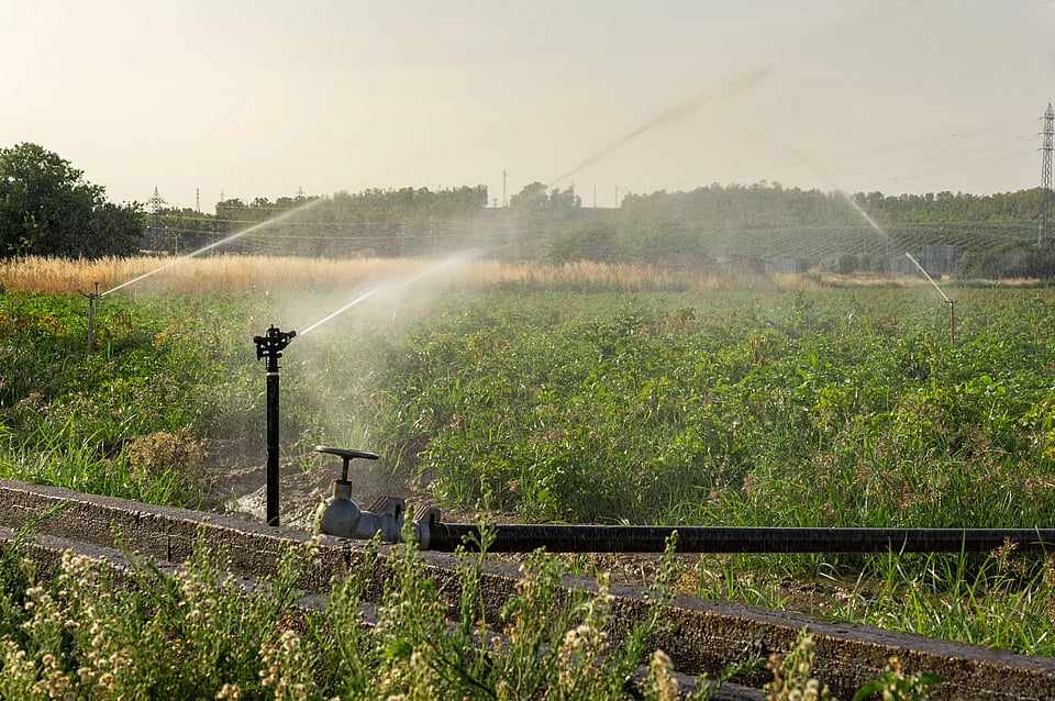 Adobe Stock image of a sprinkler system at an agricultural site.