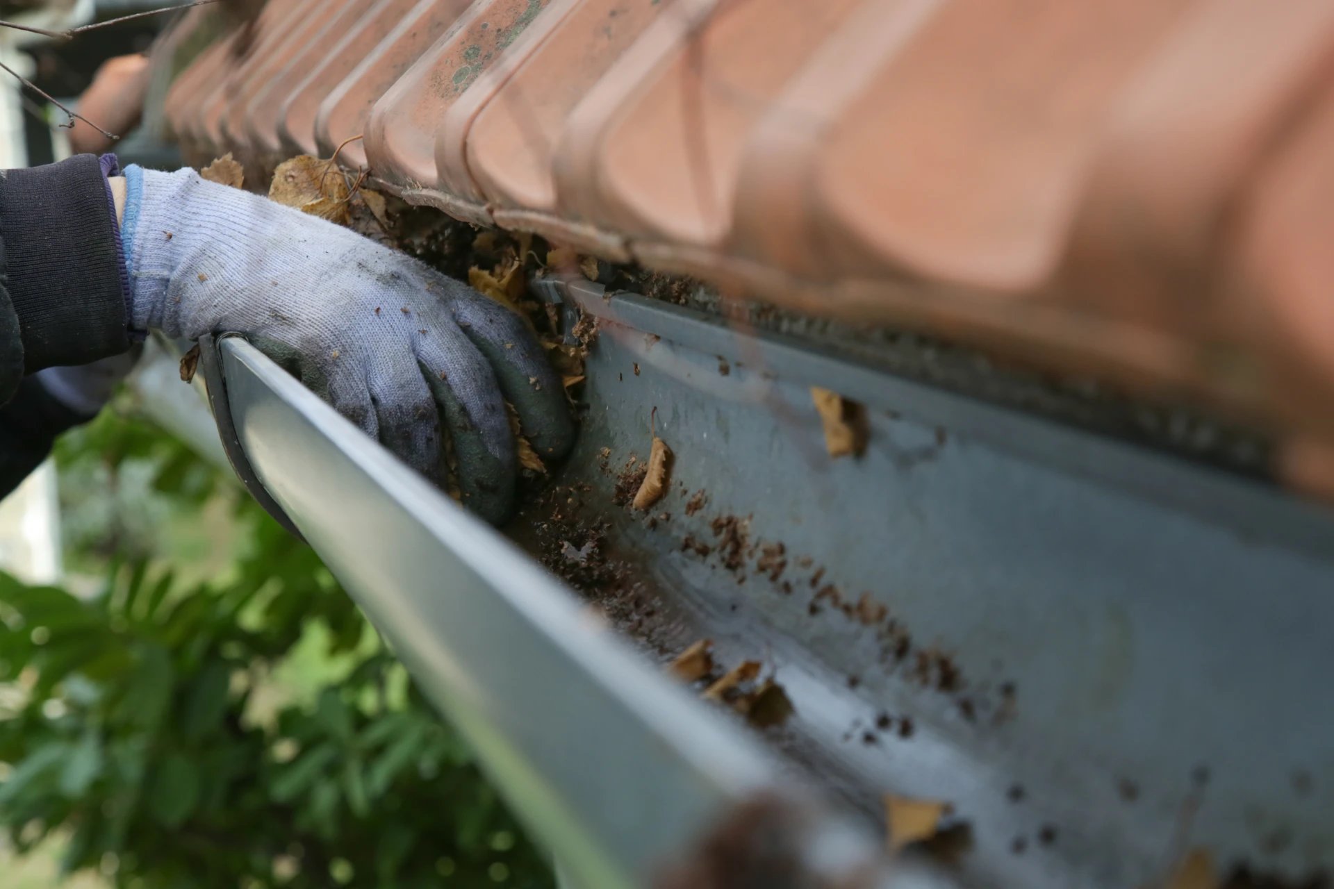 Adobe Stock image of a gloved hand cleaning leaves and debris out of a gutter.