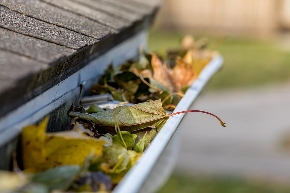 Adobe Stock image of leaves clogging up a gutter.